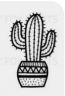 prima cactus 4.jpg