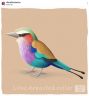 uccellino colorato 2.jpeg