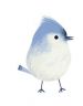uccellino-blu.jpg