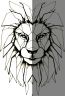 leone-disegno-simmetria.jpg